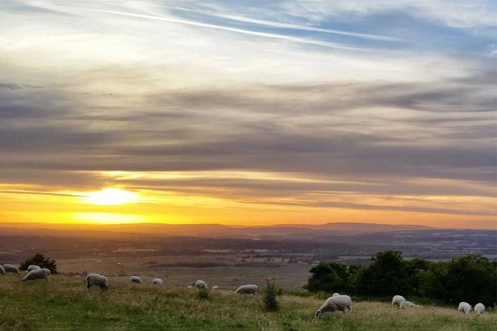 Gemini Choir perform two Wordsworth settings during the Petersfield Music Festival